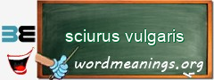 WordMeaning blackboard for sciurus vulgaris